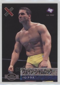 1995 BBM Pro Wrestling 1997 2nd Printing Ken Shamrock Wayne Shamrock #112