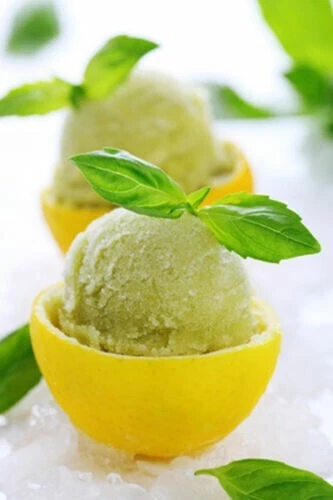 BASILICO AL LIMONE - LEMON BASIL, 100 SEMI - Immagine 1 di 1