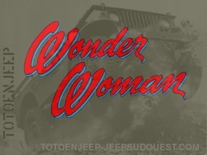 POCHOIR STENCIL . MARQUAGE WONDER WOMAN 1940 H .14CM jeep willys dodge us ww2 - Foto 1 di 4