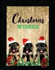 Christmas Puppy Dogs Santa Hat German Shepherds - Greeting Card W/ Tracking