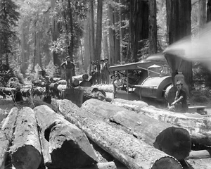 Log Train Headed For The Mill Photograph Lumberjacks California 1900 8x10 Print - Picture 1 of 2