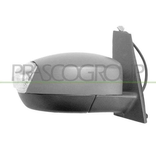 Prasco Fd7197313p Specchio retrovisore esterno 1719464