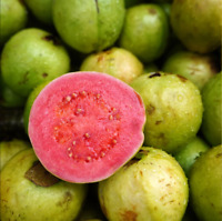 20Pcs Guava Seeds Delicious Tropical Fruit Psidium Guajava Plants Bonsai Fruit