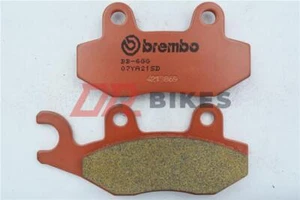 Yamaha TTR 230 2005 + Brembo Race Sintered Front Brake Pads - Picture 1 of 5