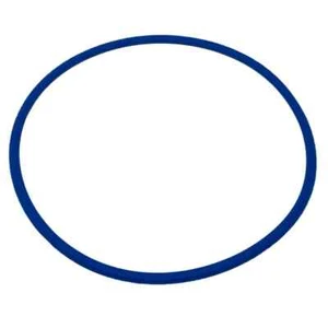 Repuesto de junta tórica de abismo cuadrado azul para piscina - Imagen 1 de 3