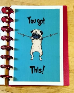 TABLERO Pug "You Got This" 4 uso con el planificador TUL/Arc (8 discos)- - Imagen 1 de 3