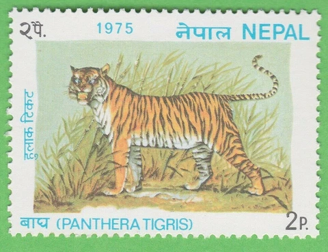 1975 TIGER STAMP NEPAL UNUSED POSTAGE ORIGINAL ANIMAL KINGDOM WILDLIFE CAT MNH Cover