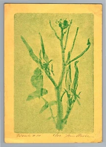 Vintage 60s,70s Botanical Scientific X-Ray Art Print, Floral Monotype, 7x5 - Picture 1 of 2
