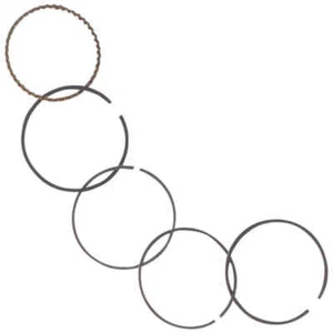 Les Segments de Piston Anneaux Jeu Lot GY6 50 Ccm 4 Pas Mobylette / Cyclo - Picture 1 of 1