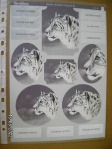 Beautiful Pollyanna Pickering Snow & Ice Die Cut Toppers. 'Set 03 A' (515) - Picture 1 of 3