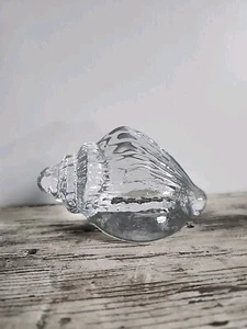 Conch Sea Shell Clear Glass Art Paperweight Figurine Nautical - Picture 1 of 6