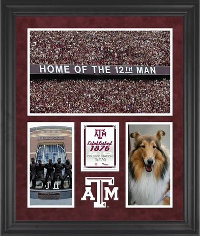 Texas A&M Aggies Kyle Field Framed 20x24 3-Opening Collage Cover