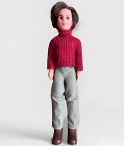 VTG Sunshine Family 9.5" Doll Father Steve Mattel Shirt Pants Shoes Outfit 1973 - Picture 1 of 10