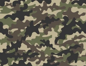 Camo Design Lammfell Leder Farbe Schwarz/Grün (100% Echthaut) - Bild 1 von 6