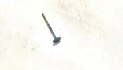 Válvula de escape Volkswagen Golf 2003 usada, original #883150-30 Foto 1 de 2