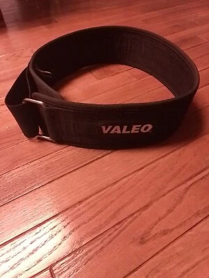 法雷奥 4 英寸 X 43 英寸 VLN 提升/背部支撑带大号男女通用 — 第 1/4 张图片