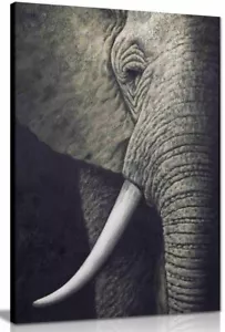 Impresión de arte de pared de lona de elefante africano blanco y negro - Imagen 1 de 5