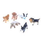 6Pcs/Set simulation cat and dog Dollhouse Miniature Model Decoration Gift Tosh