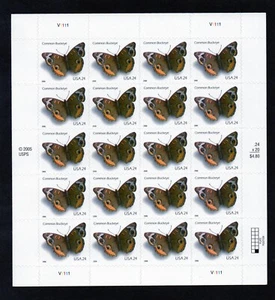U.S. DEFINITIVE SHEET OF 20 SCOTT#4001 2006 24ct COMMON BUCKEYE MNH P#V1111 - Picture 1 of 1