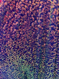 Purple  iridescent economic all over shiny sequins 2 way stretch velvet - Picture 1 of 1
