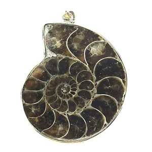 Pendant Nautilus Fossil Ammonite Silver Tone - Picture 1 of 4