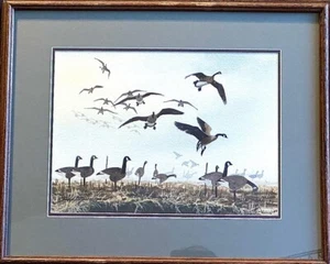David Hagerbaumer Original Aquarell Gemälde Kanadische Gänse gerahmt 19" x 23,5" - Bild 1 von 8