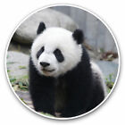 2 x Vinyl Stickers 30cm - Baby Panda Bear China Cool Gift #21174