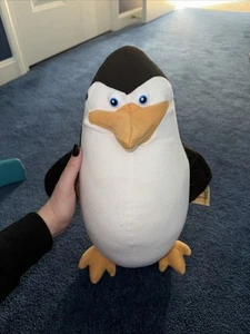 Madagascar Penguin ￼ - Picture 1 of 6