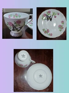 Vintage Royal Chelsea Bone China Tea Cup & Saucer Rare Butterfly Floral BC15 - Picture 1 of 13