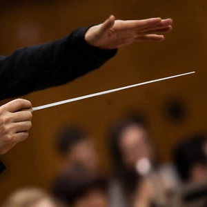 Music Baton Professional Orchestra Conductor Baton Concert Conducting Stick - Picture 1 of 12