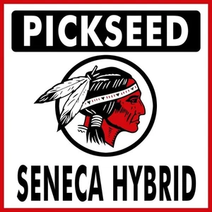 PICKSEED Seneca Hybrid neues Stahlschild: 24" Durchmesser Quadrat Made in USA - Bild 1 von 1