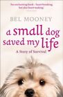 Small Dog Saved My Life By Bel Mooney 9780007427215 | Brand New
