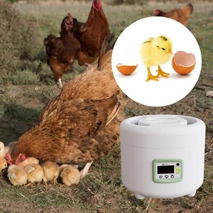 NEW Eggs Incubator Brooder Poultry Hatching Machine Chicken Hatcher for Farm - Picture 1 of 8