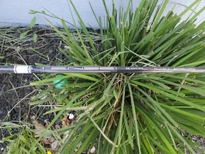 New Tour Issue Tensei Pro White 1k 50 X x-Stiff golf shaft Mitsubishi Chemical - Picture 1 of 4