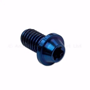 2x Blue Ducati Panigale 1199 S/R, 1299 S/R Brake Clutch Reservoir Bracket Screw - Picture 1 of 4