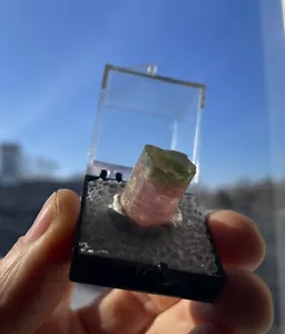 32 Ct. Natural Green Cap Pink Tourmaline Himalaya Mine, California 1970’s Pocket - Picture 1 of 16