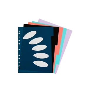 5 x Colourhide 5 Tab Dividers A4 File Divider Index Subject Ring Binder - Picture 1 of 1