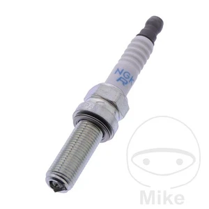 37498-compatible with TM RACING SMR 450 F I 1CIL. - R0451B-8 Candle Racks - Picture 1 of 1