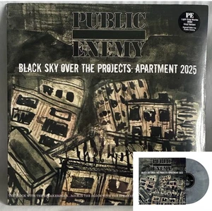 IN HAND!! Public Enemy Black Sky Over the Projects: Apartment WIND LP W/SIGNED - Imagen 1 de 6