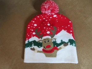 POM POM CHRISTMAS HAT - Picture 1 of 1
