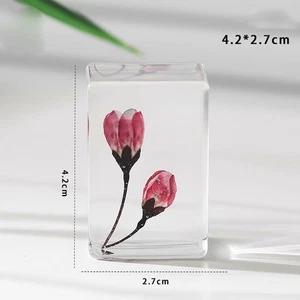 Rosa Begonia Espécimen Resina Decoración Hogar Oficina Flor Seca Pisapapeles Regalo - Imagen 1 de 1