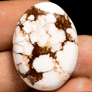 Piedra preciosa cabujón ovalado jaspe caballo salvaje 100 % natural 30 quilates 25x18x7 mm EE-52100 - Imagen 1 de 2