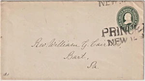 PRINCETOWN NY large st line on green entire 1900 --RARE CANCEL (i67) - Picture 1 of 2