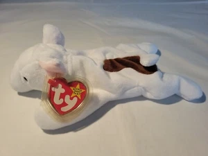 Ty beanie babies Butch The Dog 1998 MCWT. - Foto 1 di 9