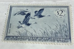 Stanley Stearns, RW 22, Bundesstempel,.1955-56, neuwertig, ""wie besehen"" guter Zustand. - Bild 1 von 12