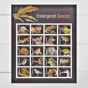 Francobollo USA 2023 Sct#5799a-t Specie in via di estinzione animali/uccellini 1 foglio intero nuovo nuovo nuovo di zecca - Foto 1 di 1