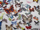 Designers Guild Fabric 'BUTTERFLY PARADE - OPALIN' 1 METRE CHRISTIAN LACROIX