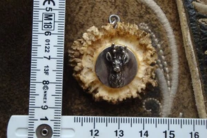 Charivari Anhänger Fassung 835er Silber schöne Rehgeweihrosette mit Rehkopf - Bild 1 von 2