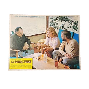 Lobby Card Living Free #6 Original Vintage 1972 Nigel Davenport Susan Hampshire - Picture 1 of 4