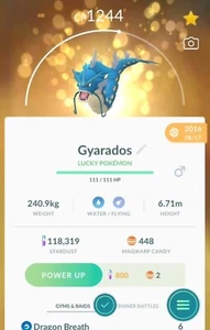 Pokemon Lucky Gyarados Trade GARANTITO LUCKY GYARADOS TRADE! - Foto 1 di 1